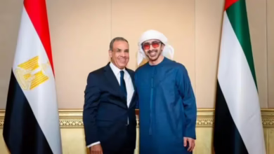 مصر، الإمارات، الأزمة السودانية، القضية الفلسطينية، الهدنة الإنسانية، الآلية الرباعية