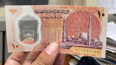 سعر الجنيه المصري