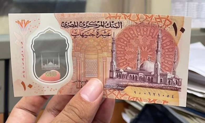سعر الجنيه المصري