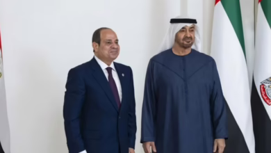 الرئيس المصري في أبوظبي