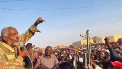 الحركة الإسلامية