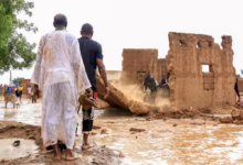 بشريات خريف 2026