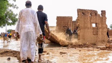 بشريات خريف 2026