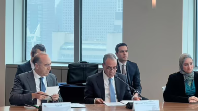 مصر تحذر من المساس بوحدة السودان