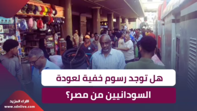 تحذير من لجنة العودة الطوعية للسودانيين من مصر