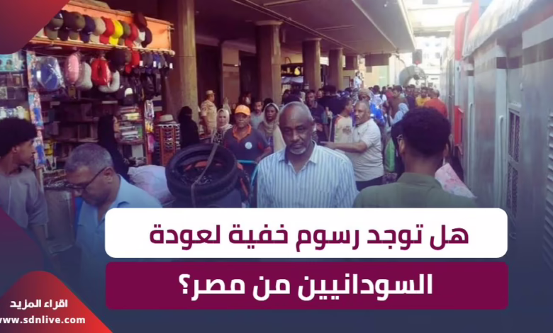 تحذير من لجنة العودة الطوعية للسودانيين من مصر