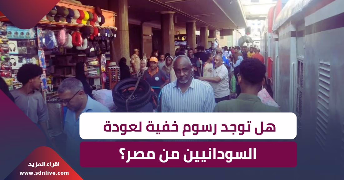 تحذير من لجنة العودة الطوعية للسودانيين من مصر