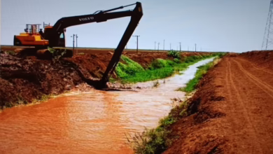 مزارعو الجزيرة