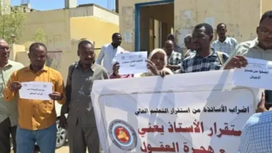 إضراب أساتذة الجامعات