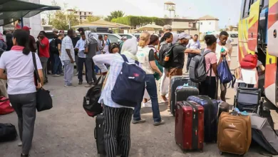 60 بصاً مجاناً من القاهرة إلى الخرطوم