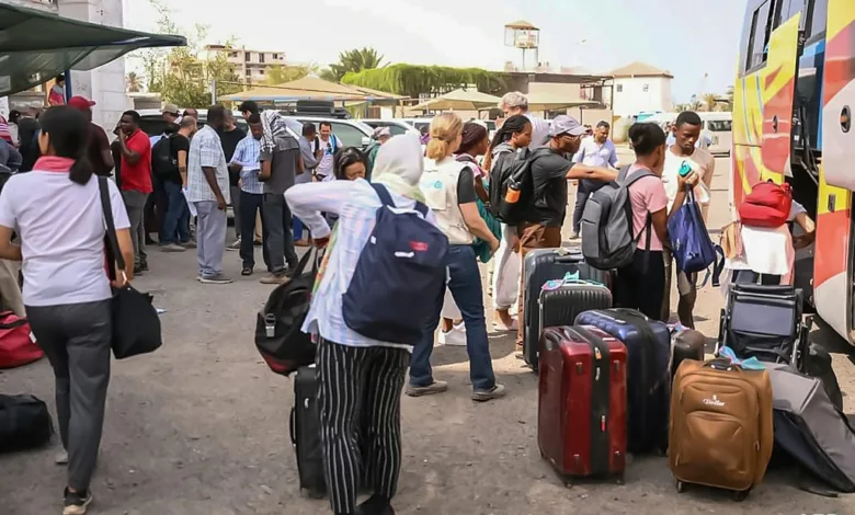 60 بصاً مجاناً من القاهرة إلى الخرطوم