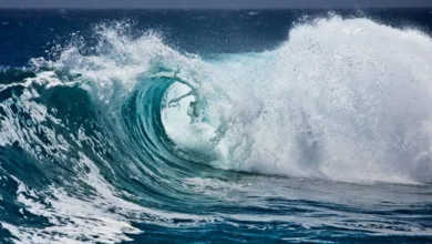 مأساة جديدة تهز طريق الهجرة إلى بريطانيا