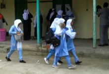 النيل الأبيض