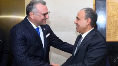 مصر تجدد دعمها لوحدة السودان