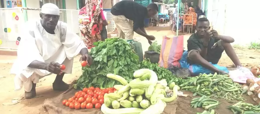 الجزيرة
