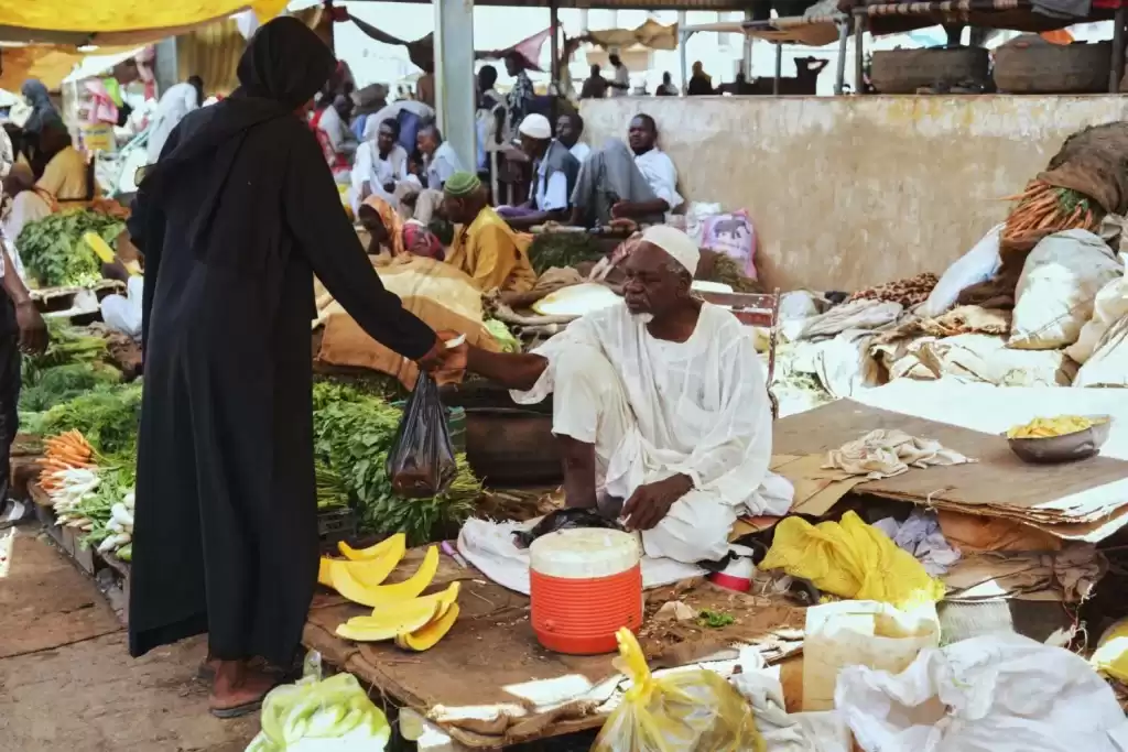 ما الذي يدفع الدولار للصعود في السودان