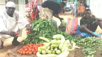 الجزيرة