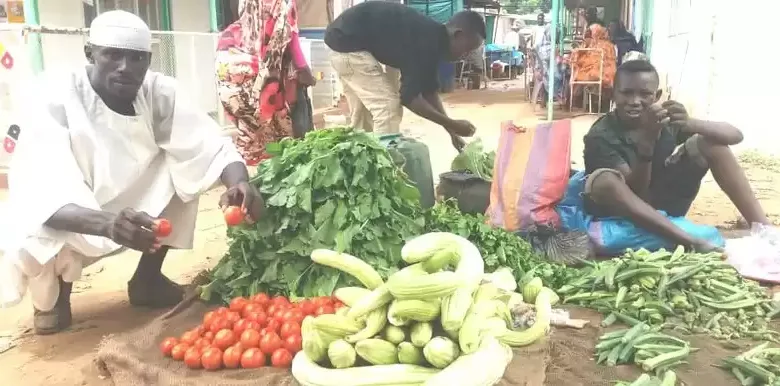 الجزيرة
