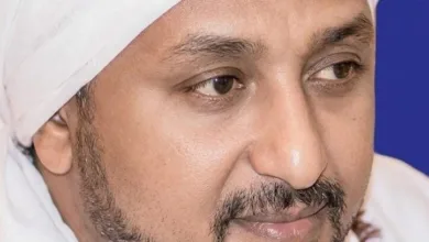 جلال الدين محمد إبراهيم