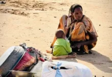 تحذيرات من مجاعة في شرق جبل مرة بسبب فشل الموسم الزراعي وغياب المساعدات