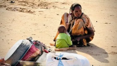 تحذيرات من مجاعة في شرق جبل مرة بسبب فشل الموسم الزراعي وغياب المساعدات