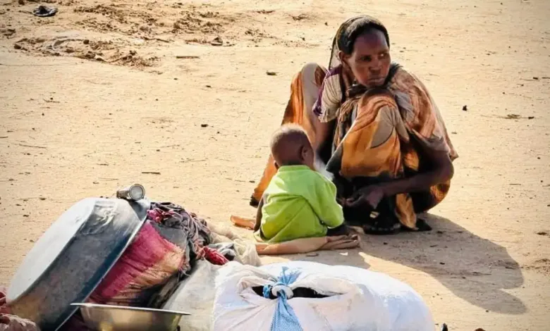 تحذيرات من مجاعة في شرق جبل مرة بسبب فشل الموسم الزراعي وغياب المساعدات
