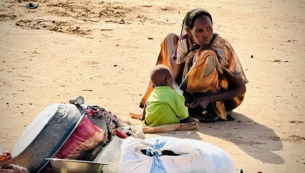 تحذيرات من مجاعة في شرق جبل مرة بسبب فشل الموسم الزراعي وغياب المساعدات
