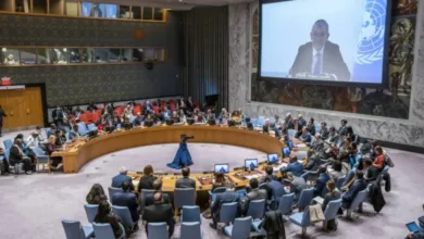 مجلس الأمن