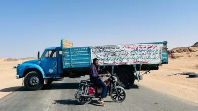 إضراب عام واعتصام للعاملين في النقل والتخليص والشحن.. ومطالب بإلغاء حظر الاستيراد والقيود على التجارة