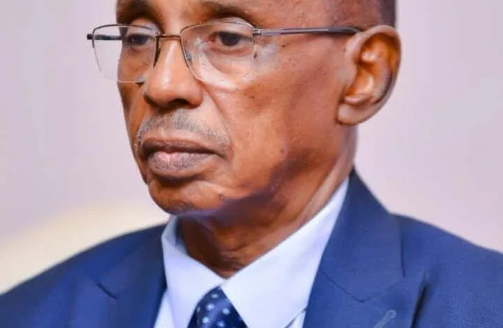 عثمان ميرغني