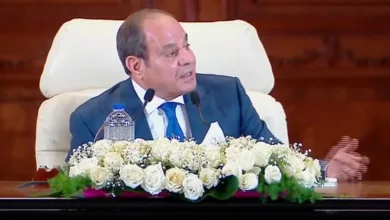 الرئيس السيسي